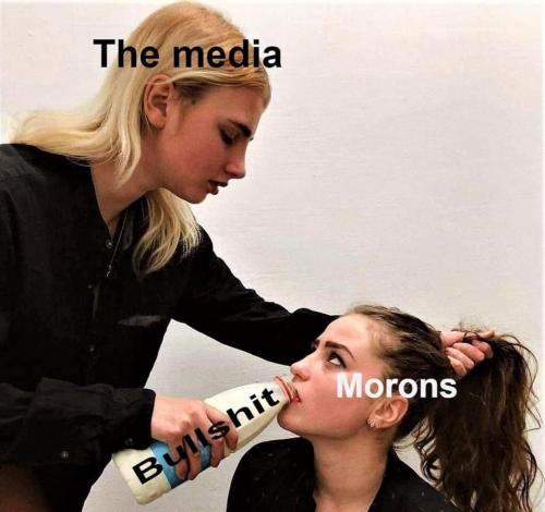 media bs