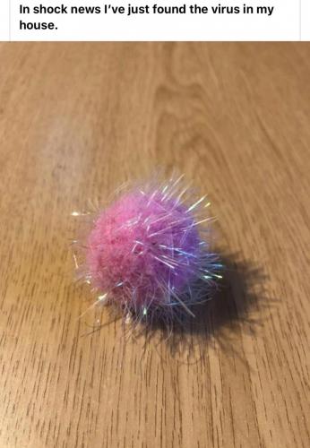 08:40:11 GMT-0500 (CDT).image