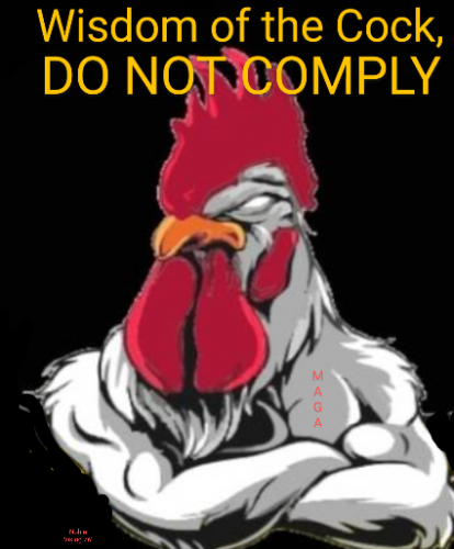 Screenshot_20210224-172655~4