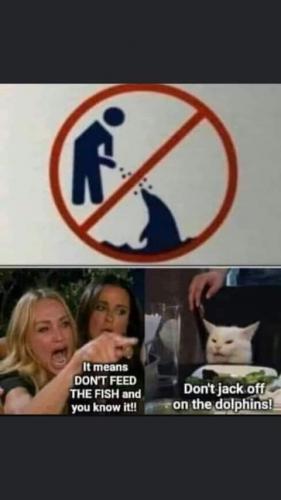 FB_IMG_1627095681655