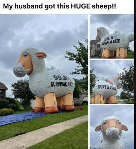 218435211_121611673400404_1465944755823167962_n