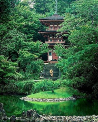 222579555_348616403647239_4474725459054596034_n