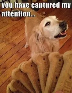 19:05:37 GMT-0700 (PDT)