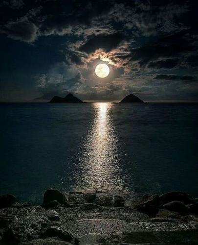 226097984_380612546775758_5079991845572916909_n