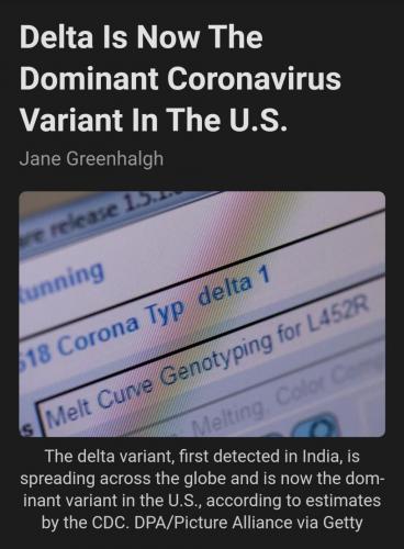 Screenshot_20210706-230229_SmartNews