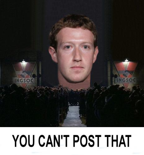 zuck81