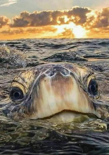 216161289_1270136960070262_7885527122087848972_n