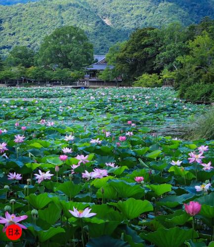 215338885_5746633688741636_7204274718662138322_n