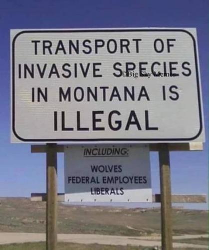 FB_IMG_1626552412012