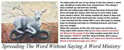 209187448_10227150239287520_2802172263758705036_n