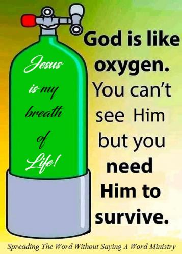 206058877_4174354882644901_1838526065972859036_n