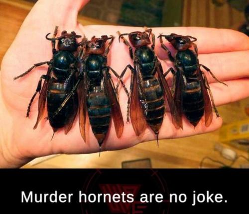 10:43:24 GMT-0400 (EDT).image