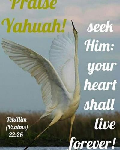 08:57:02 GMT-0800 (AKDT)