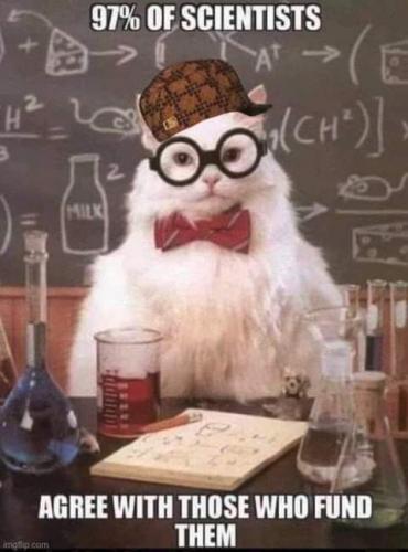 FB_IMG_1627528214227