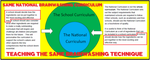 Curriculum-diamgram-7
