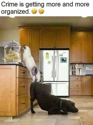 19:53:48 GMT-0400 (EDT)