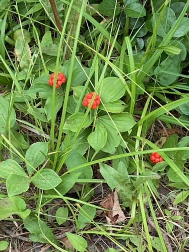 09:21:07 GMT-0500 (CDT)