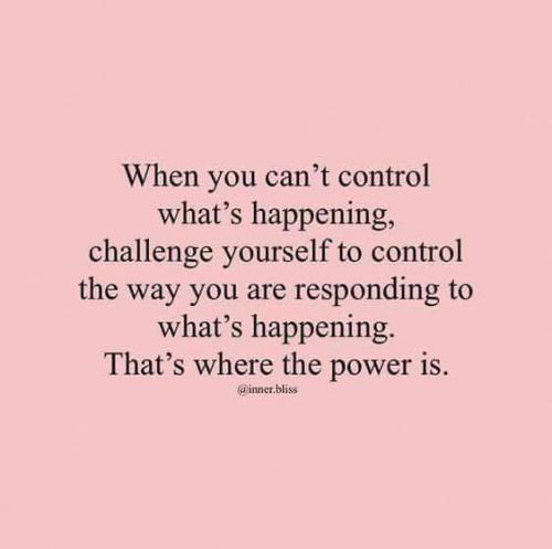 206473659_353039059520664_7011562710013678481_n