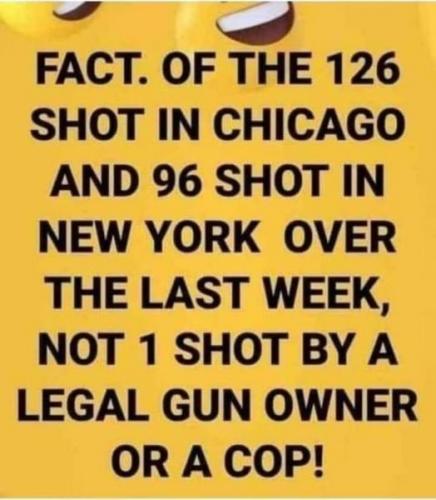 205003262_10209020990557972_2580961525516147020_n