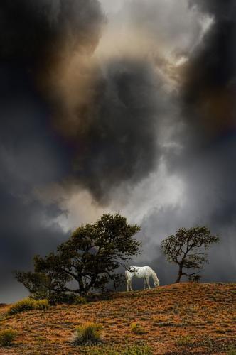 21:39:10 GMT-0500 (CDT)