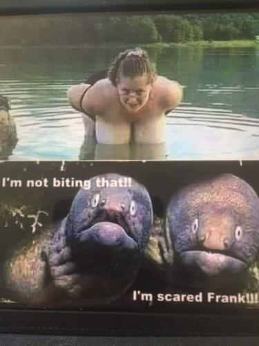 FB_IMG_1627209015586