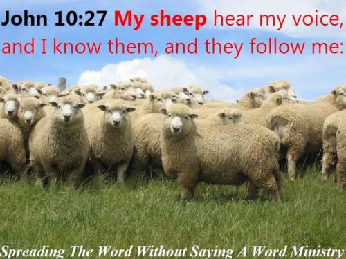 10367698_625918250840643_5318540052532126265_n