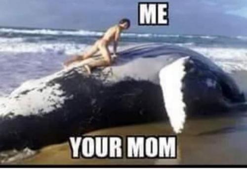 04E66F59-AAEB-4101-B4CB-98B48127487A