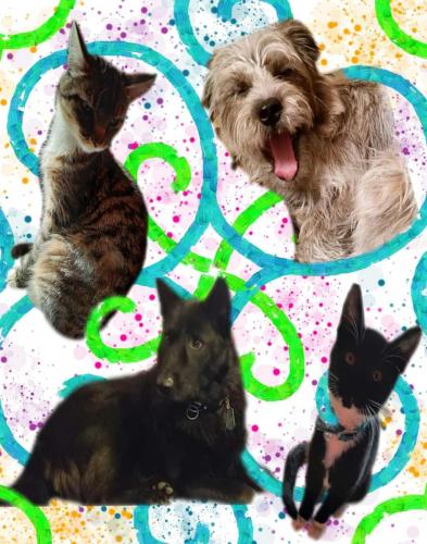 FB_IMG_1625948586650