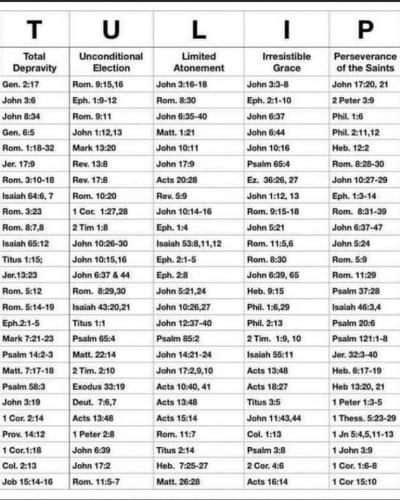 scripture support for TULIP 210115356_4496065113757278_7433333923824018772_n