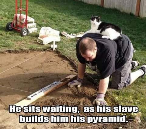 FB_IMG_1626046428122