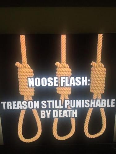 noose flash