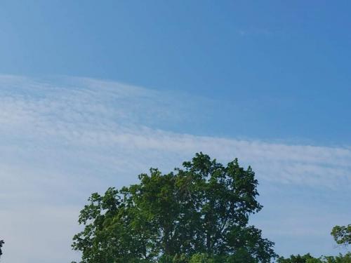 received_2877088499218104