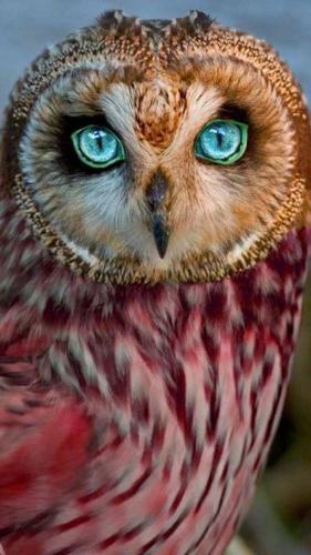 227361089_380609230109423_3610304994099094414_n