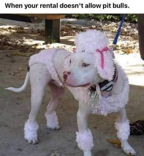 18:00:15 GMT-0400 (EDT)