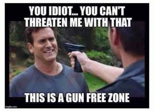 GUN FREE