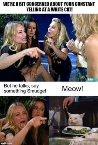 FB_IMG_1625698543852