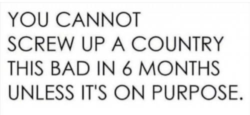 Screenshot_20210707-103731_DuckDuckGo~2