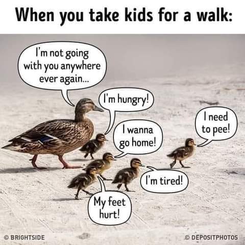 FB_IMG_1626928911227