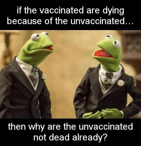 vaccine279