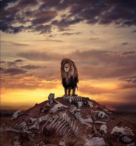 FB_IMG_1627158585191