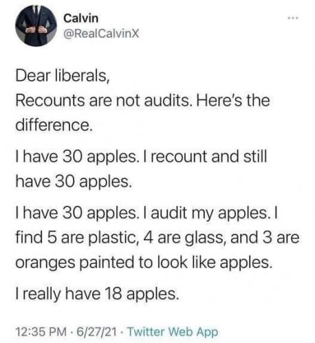 Recounts versus audits