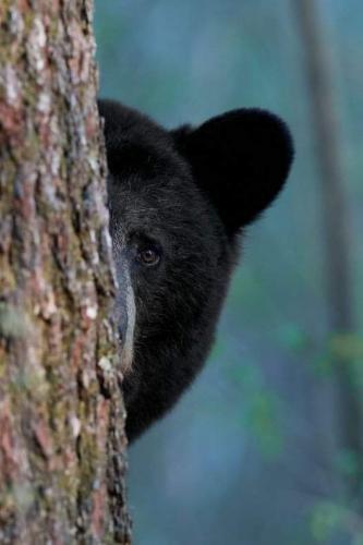 FB_IMG_1625467326928