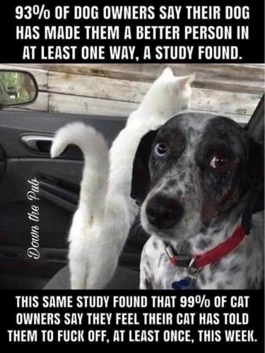 21:32:48 GMT-0700 (PDT).image