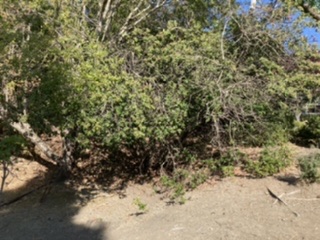 FC737AE5-AD0A-4358-9F30-66D57DEE56A7