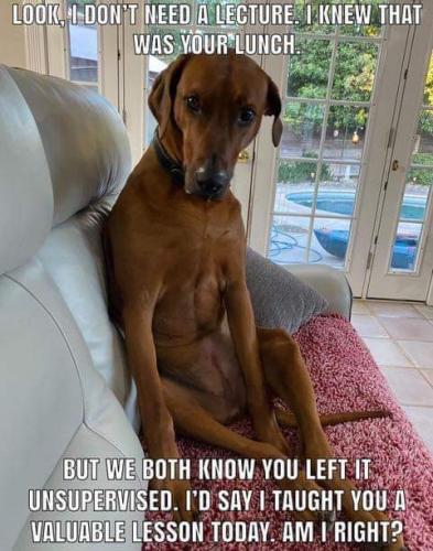 20:08:26 GMT-0500 (CDT)