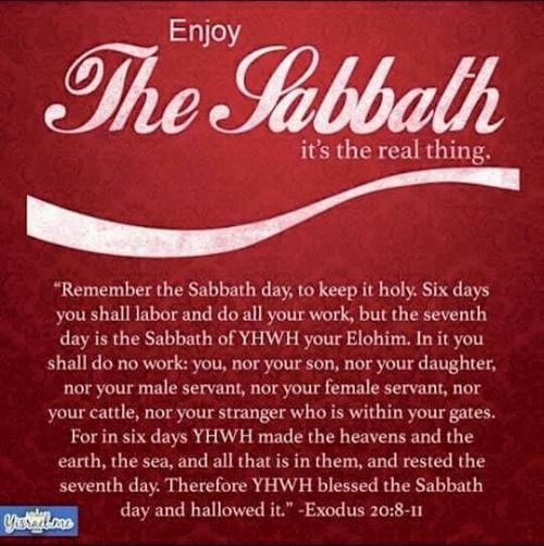 11109440_518476568303863_7011878577798827374_n