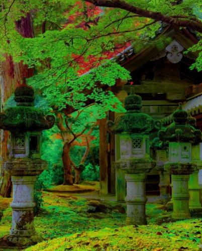 214275648_356483499180992_3345438981606694734_n