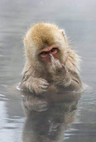 19:12:29 GMT-0500 (CDT)