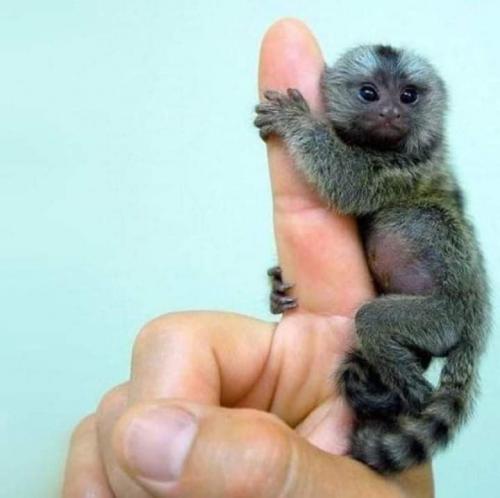 FB_IMG_1627343863651