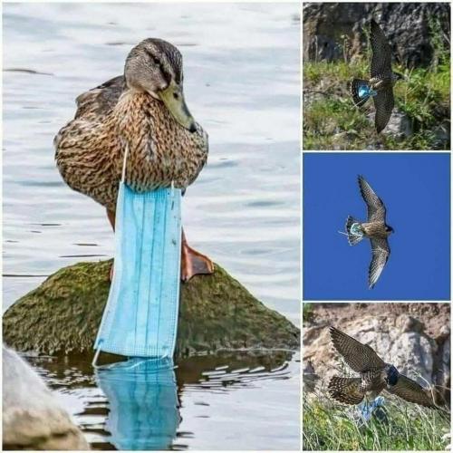 2021-07-29.16.04.050